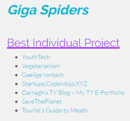 The Eir Junior Spiders Shortlist